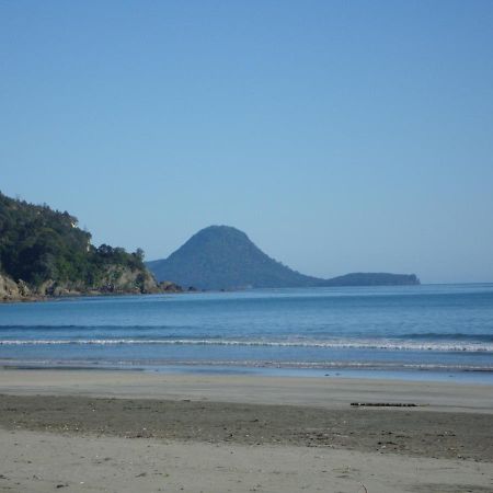 Beachfront Bliss Ohope Exterior photo